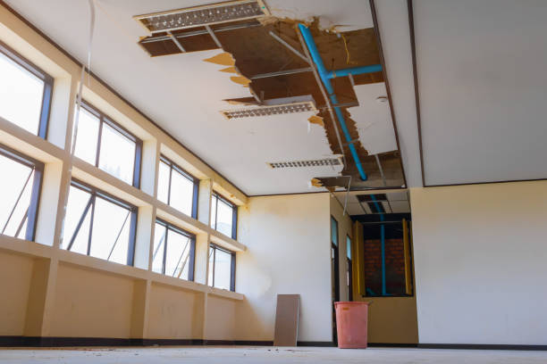 Best Local water damage restoration  in Pamplico, SC