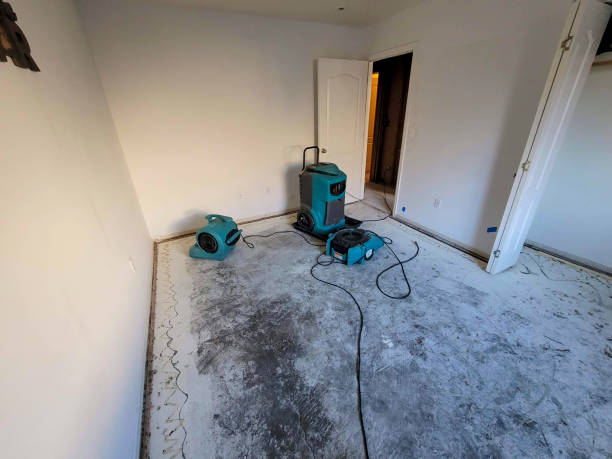 Best Water damage restoration near me  in Pamplico, SC