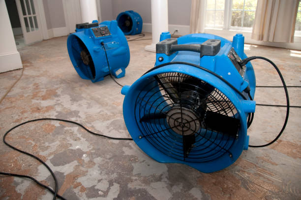 Best Water damage restoration near me  in Pamplico, SC