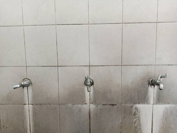 Best Flood restoration services  in Pamplico, SC